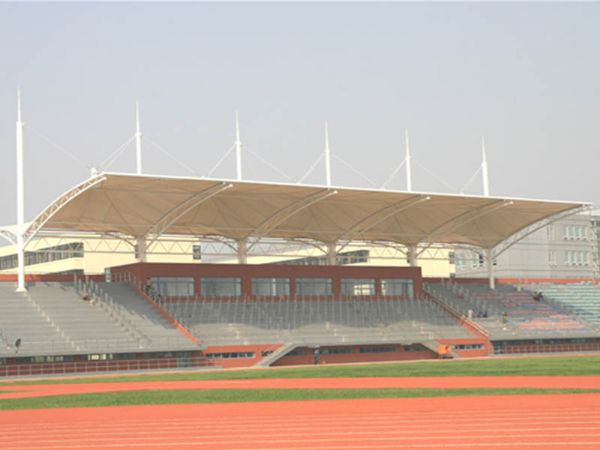 FX-kt06.jpg