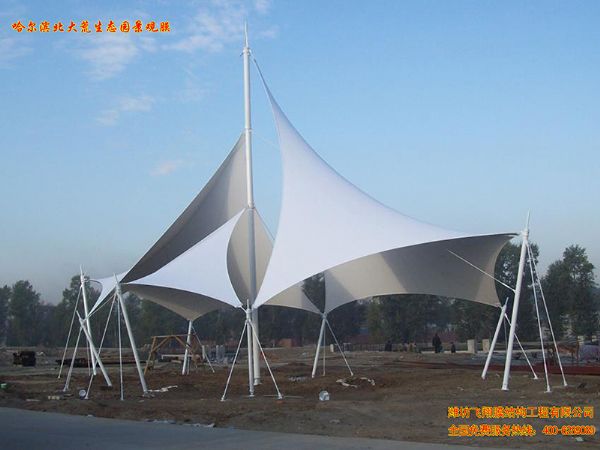 哈爾濱北大荒生態(tài)園景觀膜.jpg